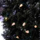 100 LED C7 Battery-Powered String Lights